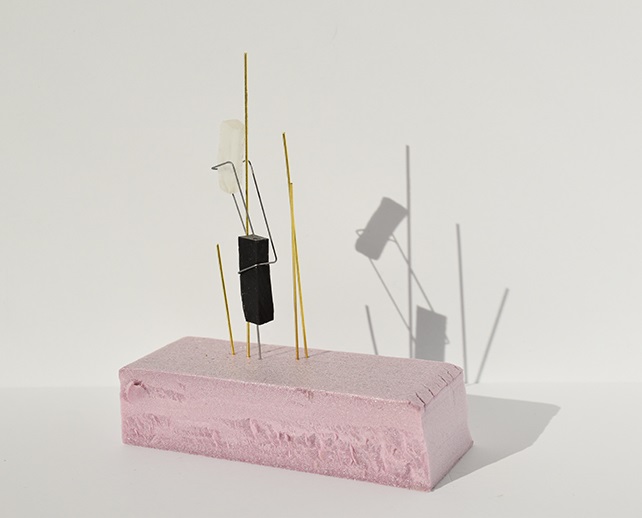 Study model with pink foam and pins