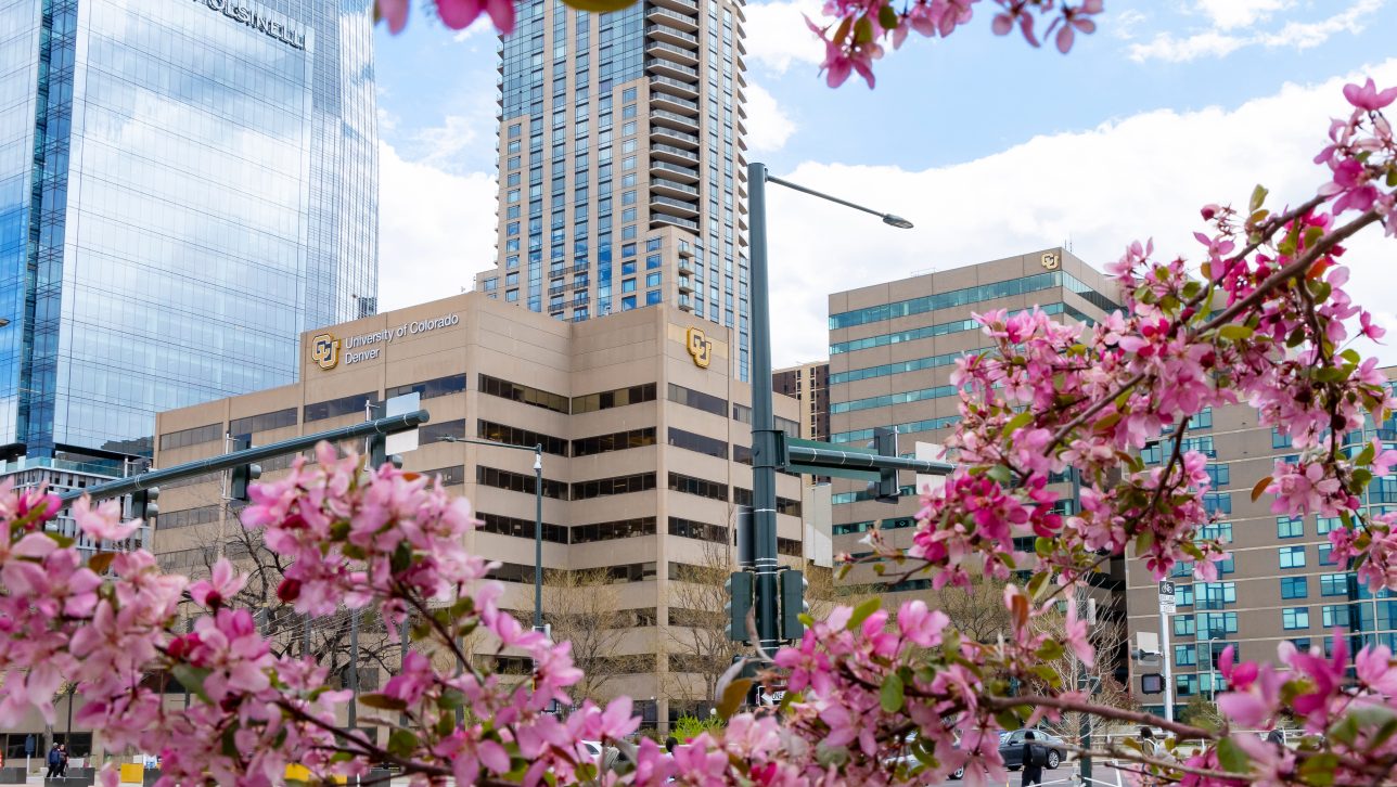 CU Denver Lawrence Center in the spring