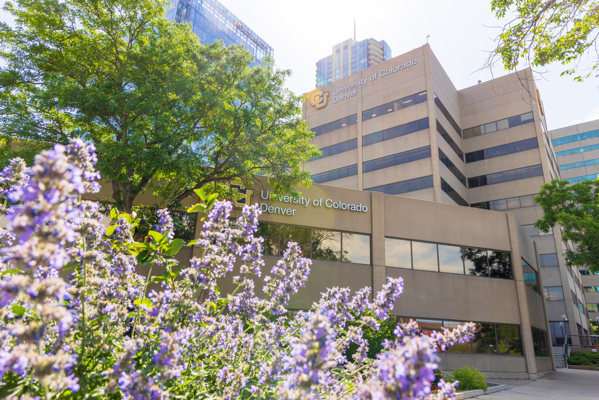CU Denver Buildings with flowers