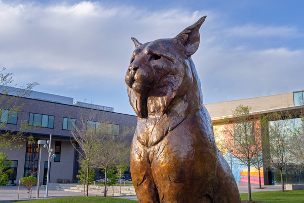 CU Denver Lynx Statue